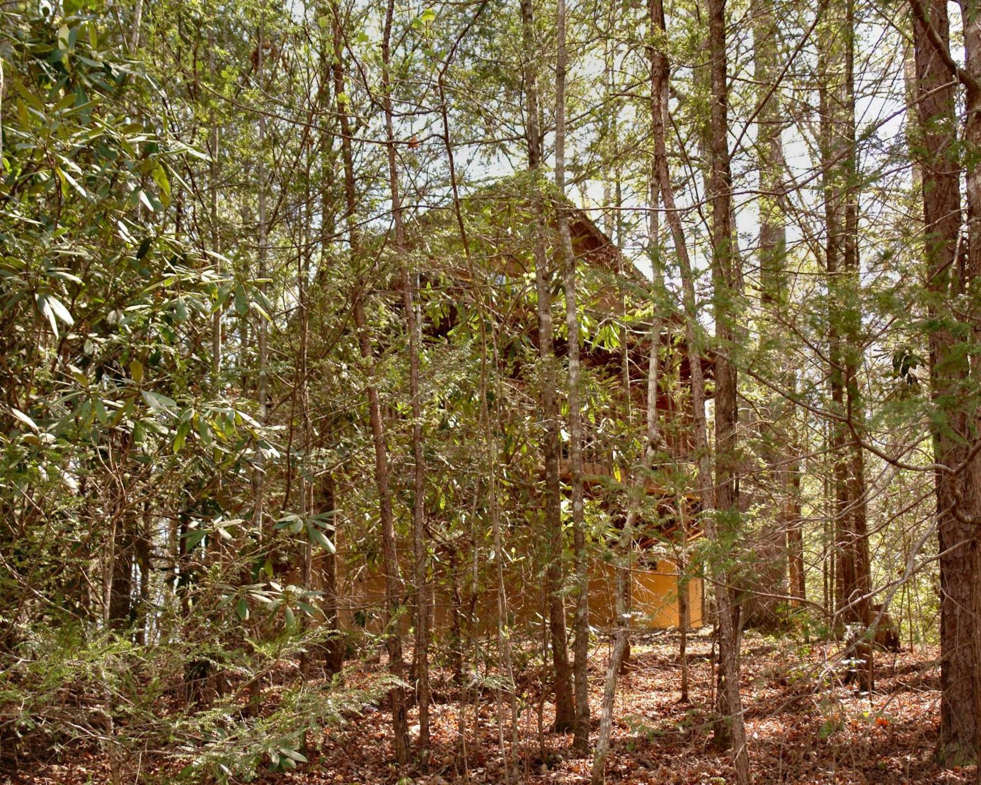 Mountain Hideaway #338 Vila Gatlinburg Exterior foto